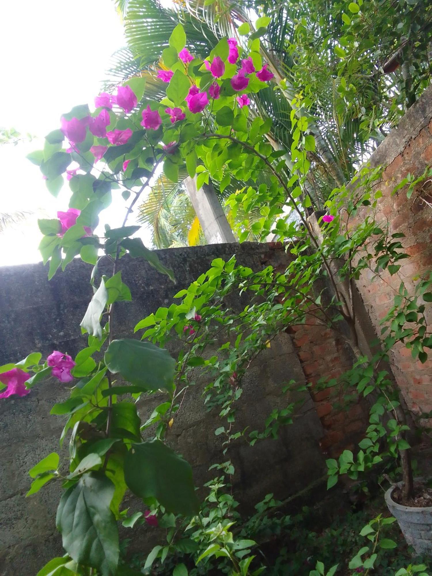 Tinu Homestay Mirissa Exterior foto